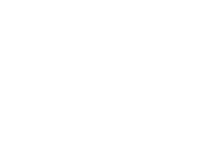 Dr. Sandeep Ramawat